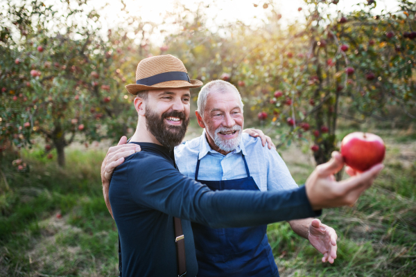 A senior man and adult son standing in orchard in autumn, holding an apple and checking quality.