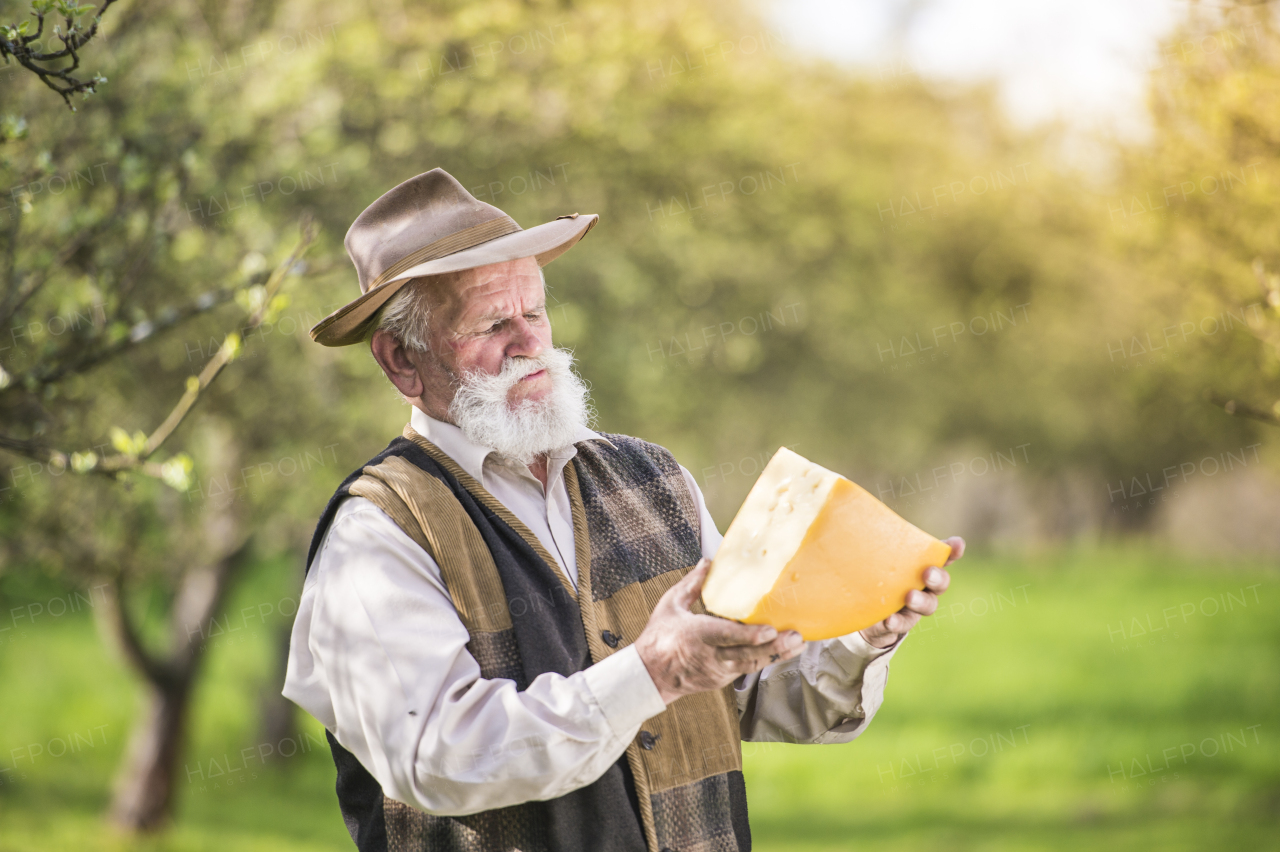 Senior man working at farm.