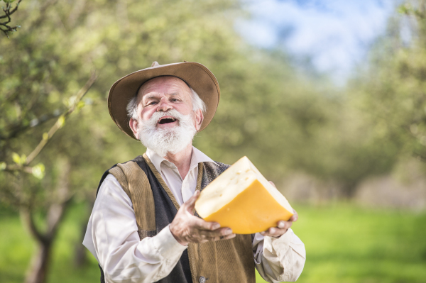 Senior man working at farm.