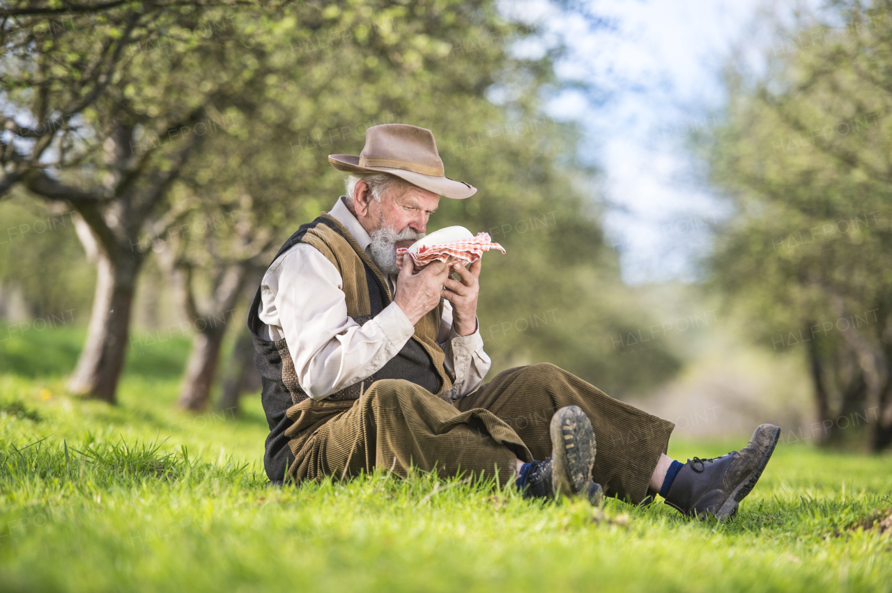 Senior man working at farm.