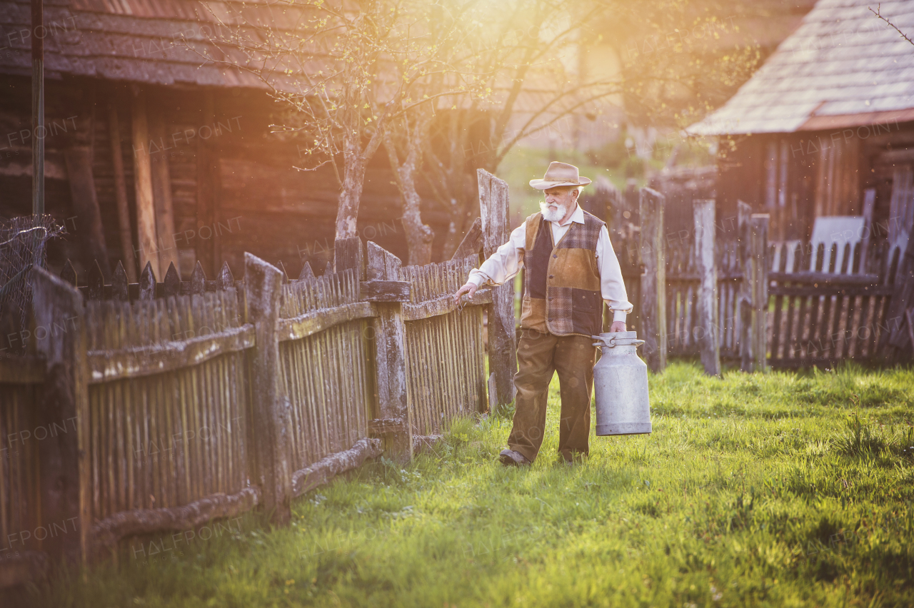 Senior man working at farm.