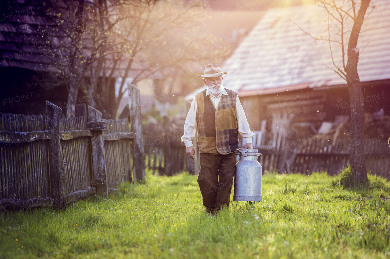 Senior man working at farm.