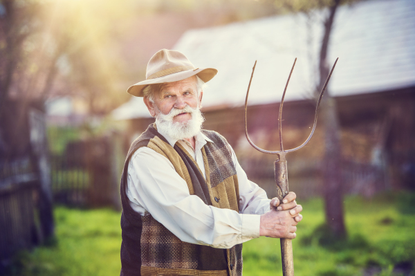 Senior man working at farm.