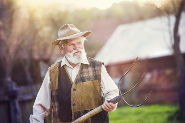 Senior man working at farm.