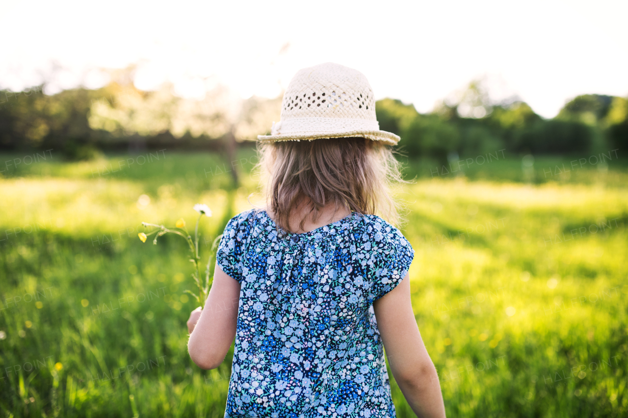 A portrait of a small girl in the garden in spring nature. Rear view.