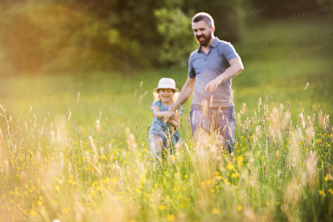 Father with a small daughter on a walk in sunny spring nature.