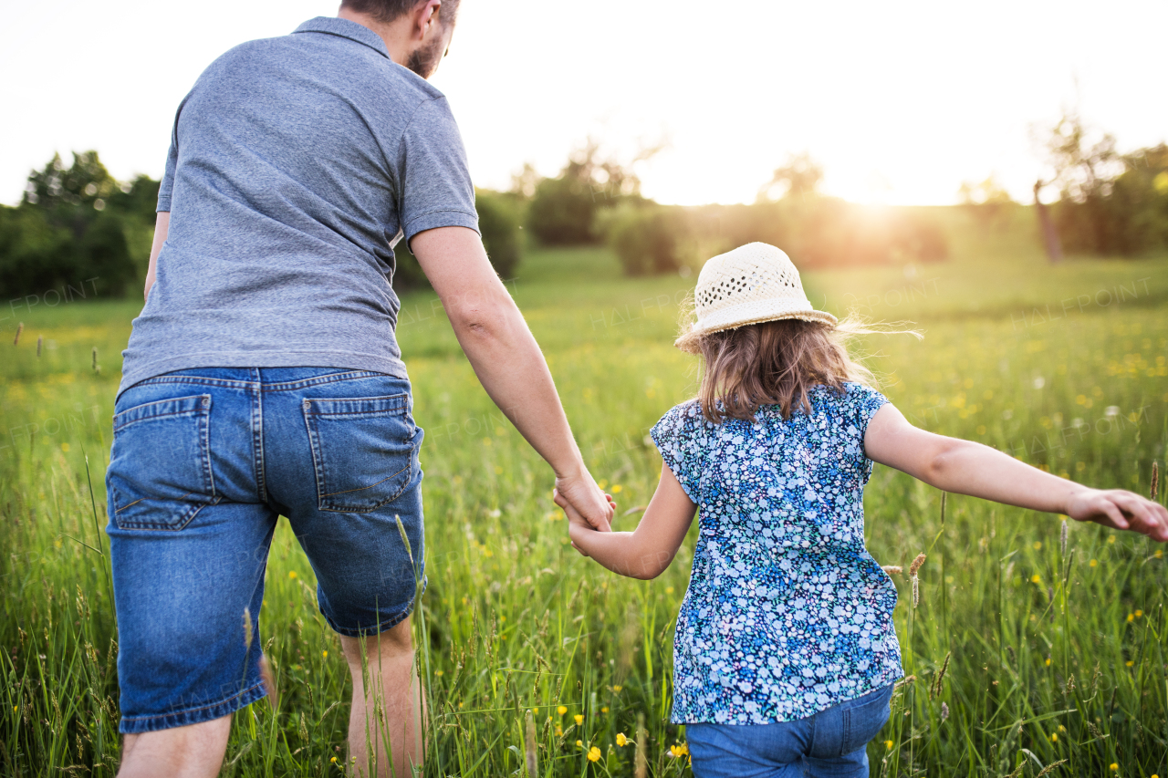 Father with a small daughter on a walk in sunny spring nature. Rear view.