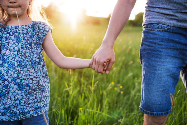 Unrecognizable father with a small daughter on a walk in spring nature at sunset.