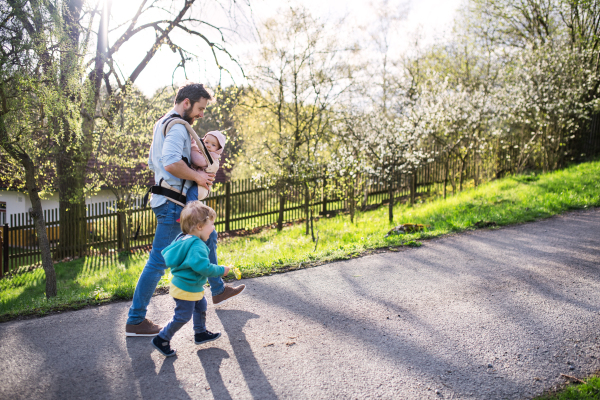 A father with his two toddler children outside on a sunny spring walk. A baby girl in a carrier, a toddler boy walking on the road.