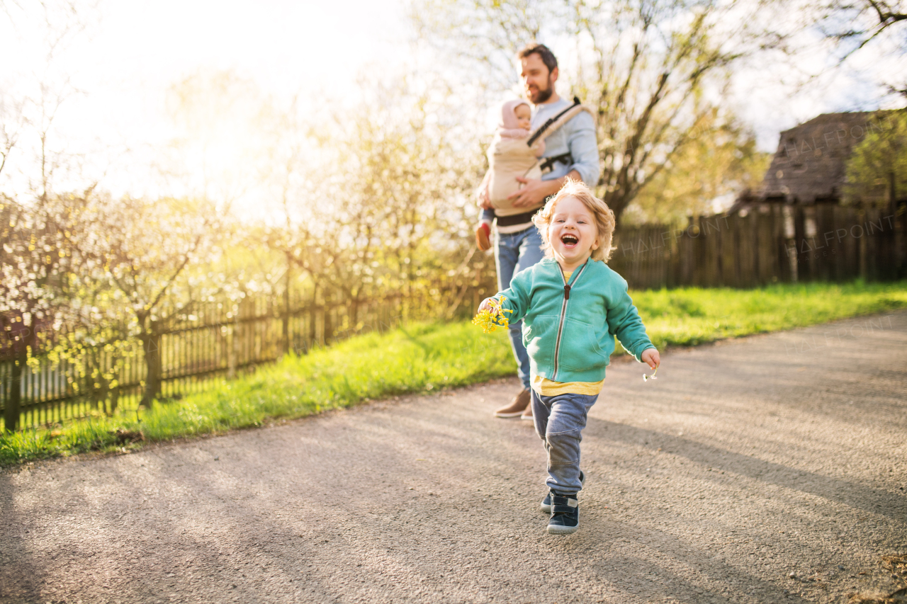 A father with his toddler children outside on a sunny spring walk. A girl in a baby carrier and a boy running.