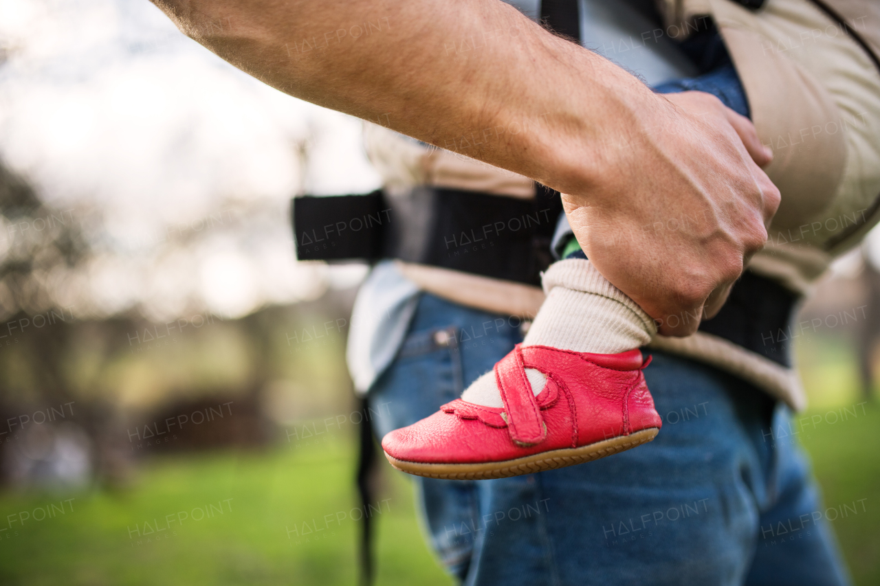 An unrecognizable father with his toddler daughter in a baby carrier outside on a spring walk. Copy space.