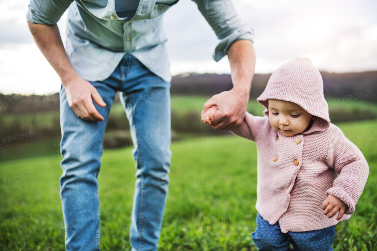 An unrecognizable father with his toddler daughter outside in green sunny spring nature.