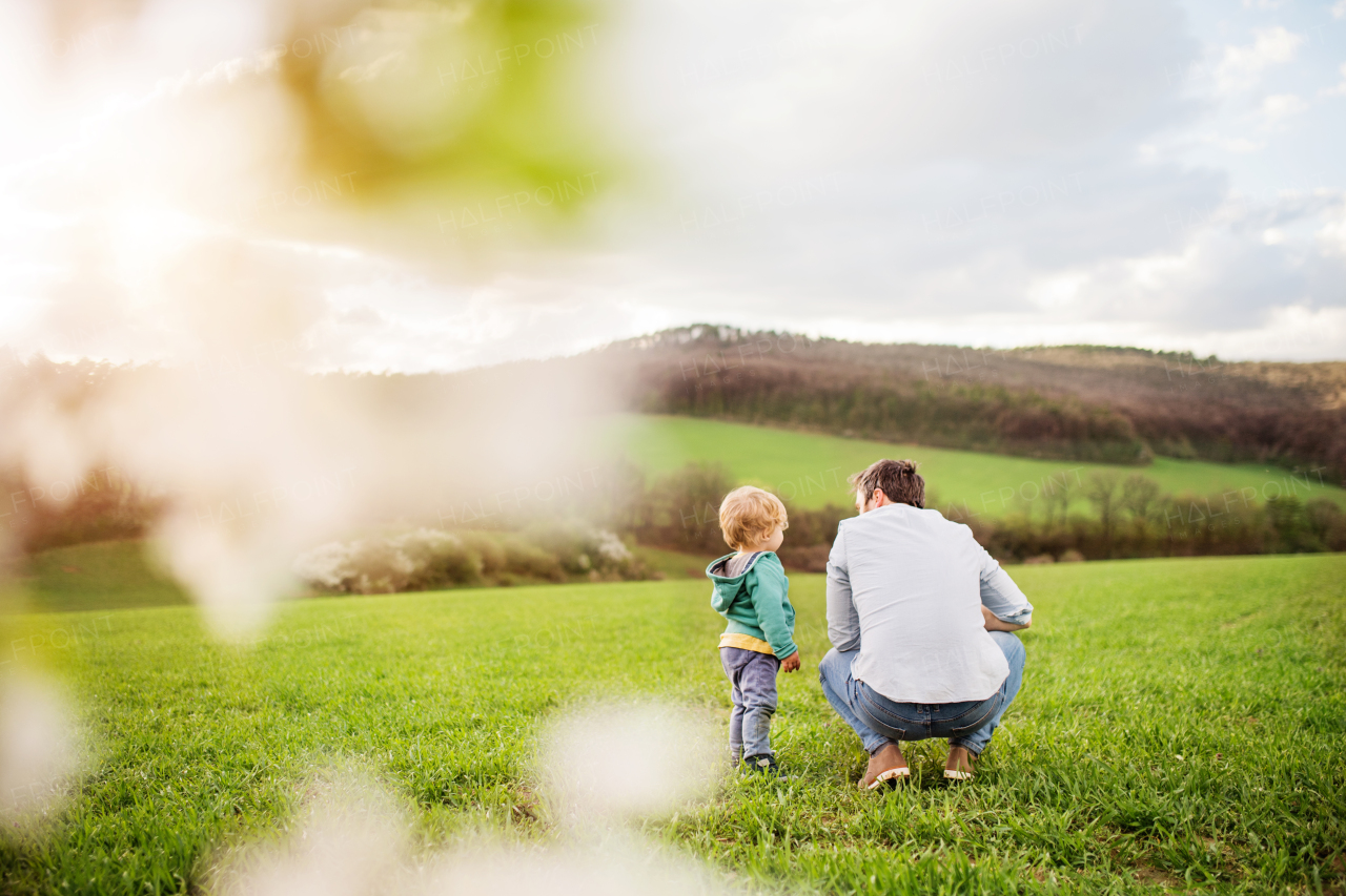 A father with his toddler son outside in green sunny spring nature. Rear view.