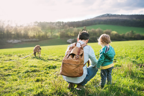 A father with his toddler son on a walk outside in green sunny spring nature. Rear view.