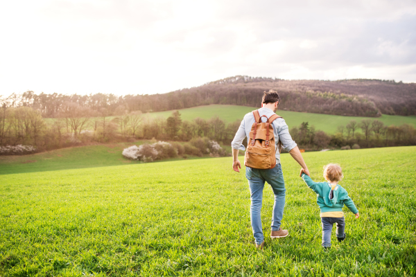 A father with his toddler son on a walk outside in green sunny spring nature. Rear view.