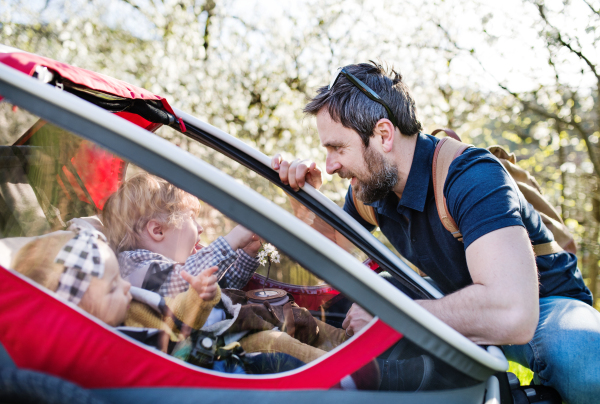 A father looking at two toddler children sitting in jogging stroller outside in spring nature.