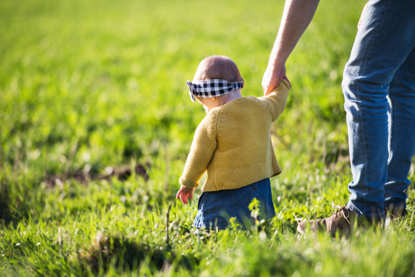 An unrecognizable father with his toddler daughter outside in green sunny spring nature.