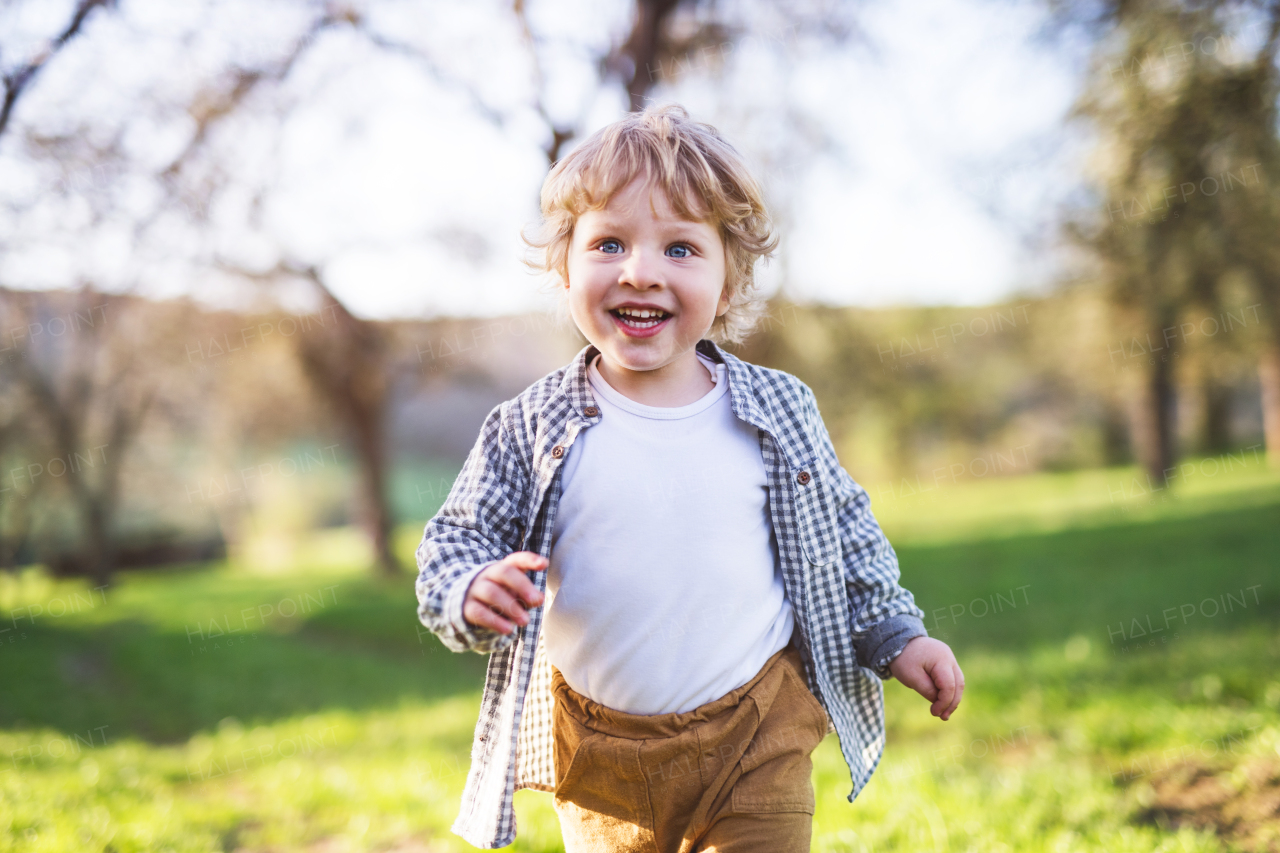 Happy blond toddler boy running outside in spring nature.