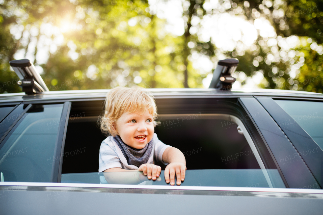 Cute little boy playing in the car, leaning out of window.