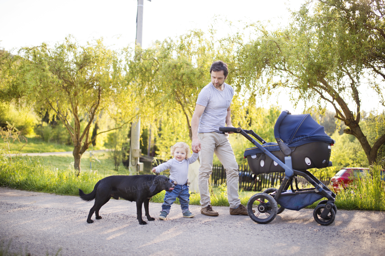 Young father outdoors in sunny summer park on a walk with cute little son, baby daughter in stroller and black dog.