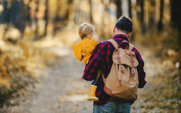 A rear view of mature father holding a toddler daughter in an autumn forest, walking.