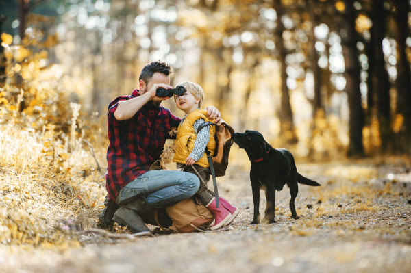 A mature father with a black dog and a toddler son in an autumn forest, using binoculars.