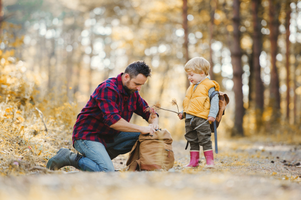 A mature father with a toddler son in an autumn forest, taking something out of a backpoack.