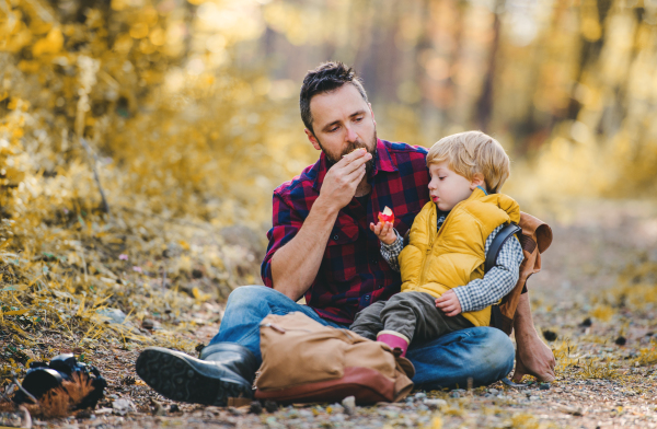 A mature father with a toddler son sitting on the ground in an autumn forest, eating apples.