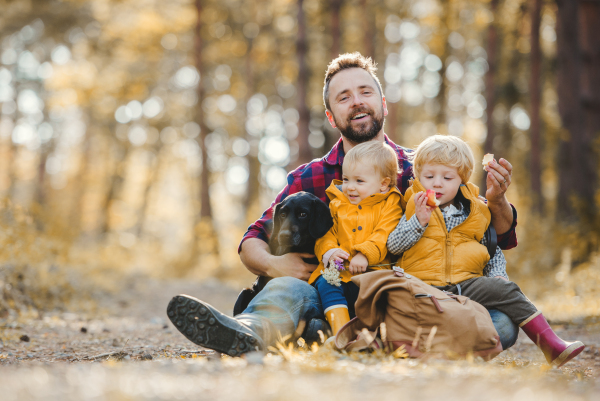 A mature father with toddler children and a dog sitting on the ground in an autumn forest, eating apples.