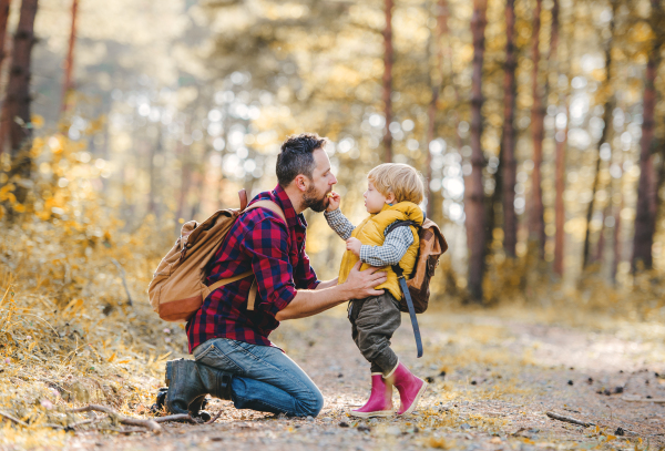 A small toddler boy giving an apple to his father in an autumn forest.