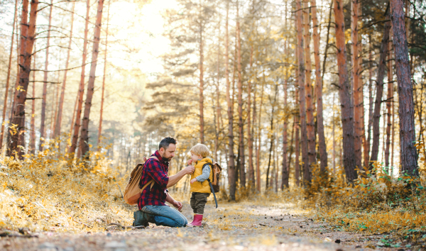 A mature father with backpack and toddler son in an autumn forest, resting.