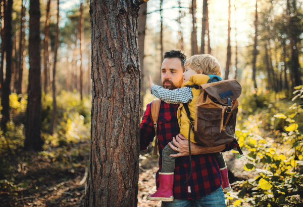 A mature father standing and holding a toddler son in an autumn forest, standing by a tree and talking.