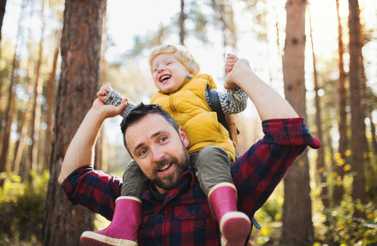 A mature father giving a toddler son a piggyback ride in an autumn forest, holding hands.