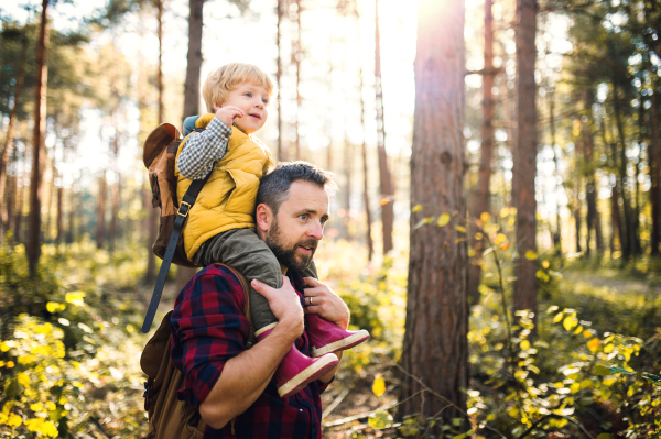 A mature father giving a toddler son a piggyback ride in an autumn forest on a sunny day.