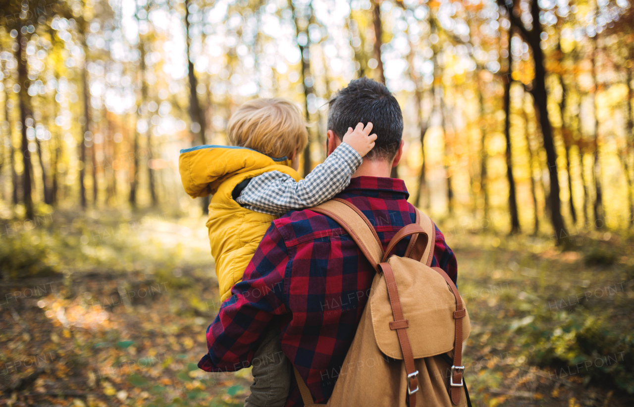 A rear view of mature father with backpack holding a toddler son in an autumn forest.