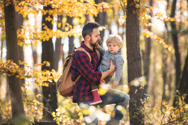 A mature father with a toddler son on a walk in forest on an autumn sunny day.