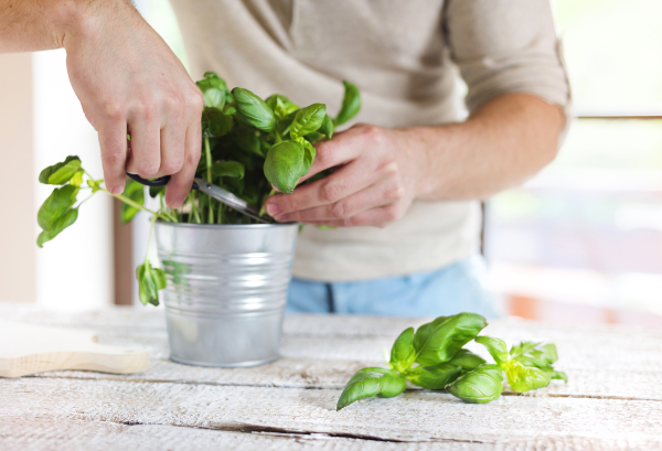 Young man cooking healthy food.