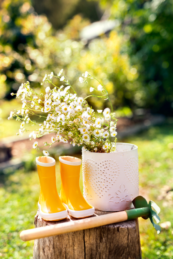 Garden tools, hoe with cultivator and flowers in a vase on the stump in the garden.