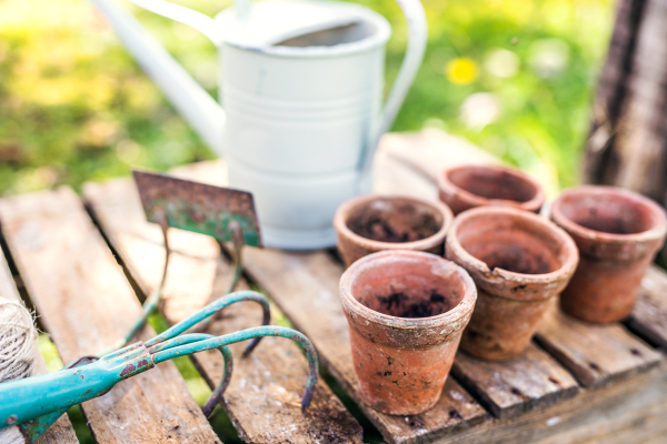 Close up of garden tools in the garden. Hoe, cultivator, watering can and flower pots on the wooden table.