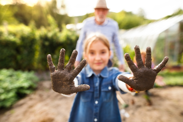 Happy healthy senior man with his grandaughter gardening. Dirty hands of a small girl. Close up.