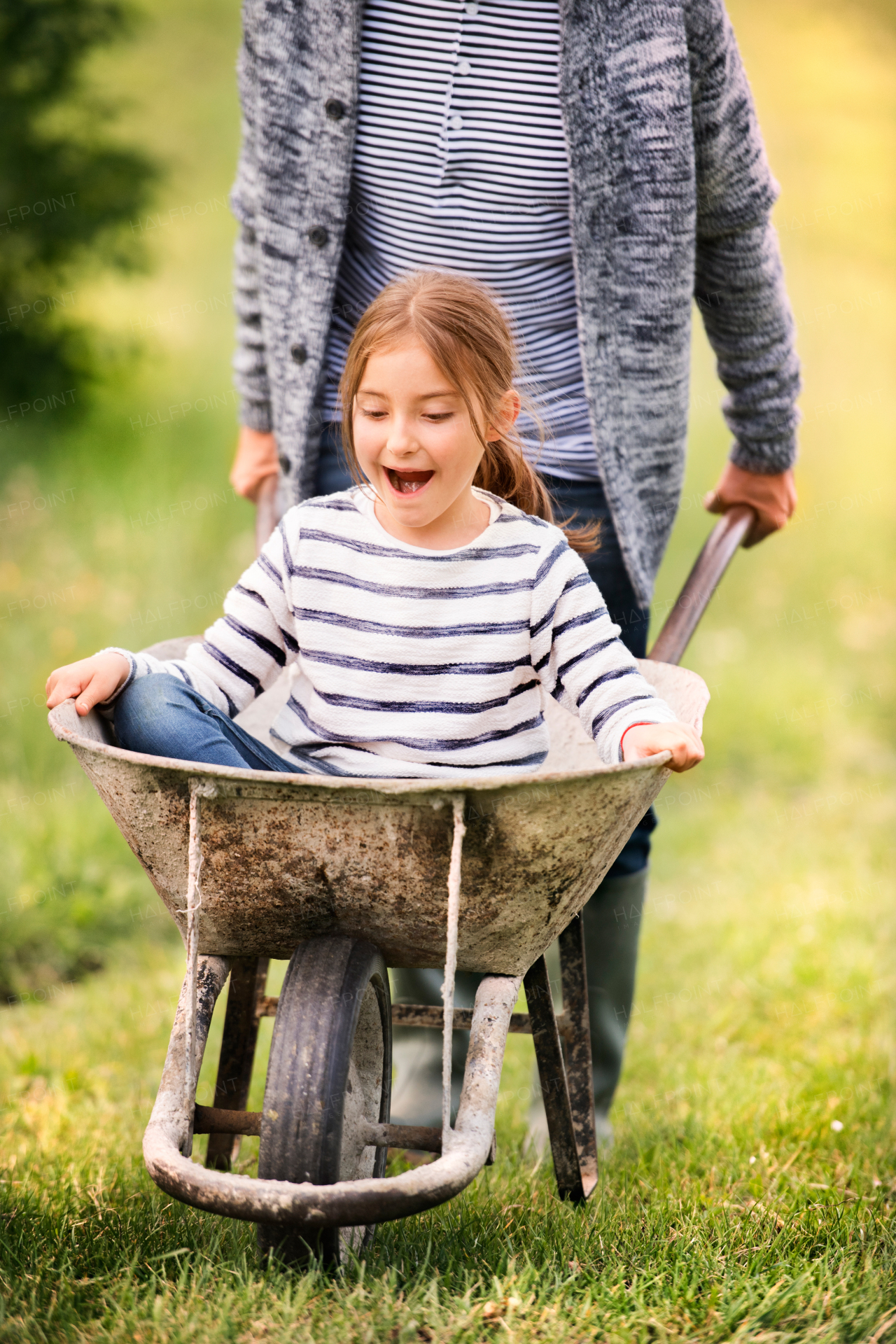 Unrecognizable grandfather pushing his grandaughter in a wheelbarrow.