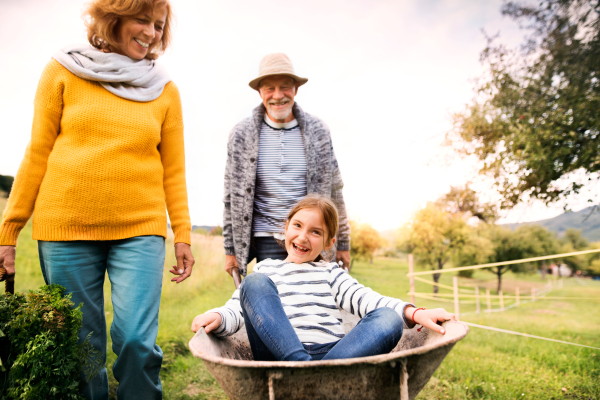 Happy healthy senior couple with their grandaughter harvesting vegetables on allotment. Man pushing small girl in a wheelbarrow, woman carrying vegetables in a basket.