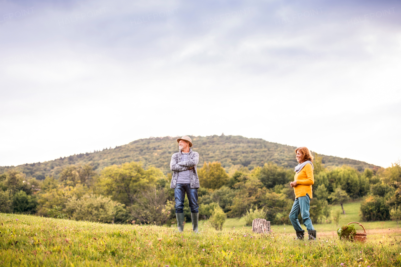 Happy healthy senior couple spending time in nature.