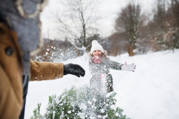 Unrecognizable grandfather and a small girl getting a Christmas tree in forest, having fun. Winter day.