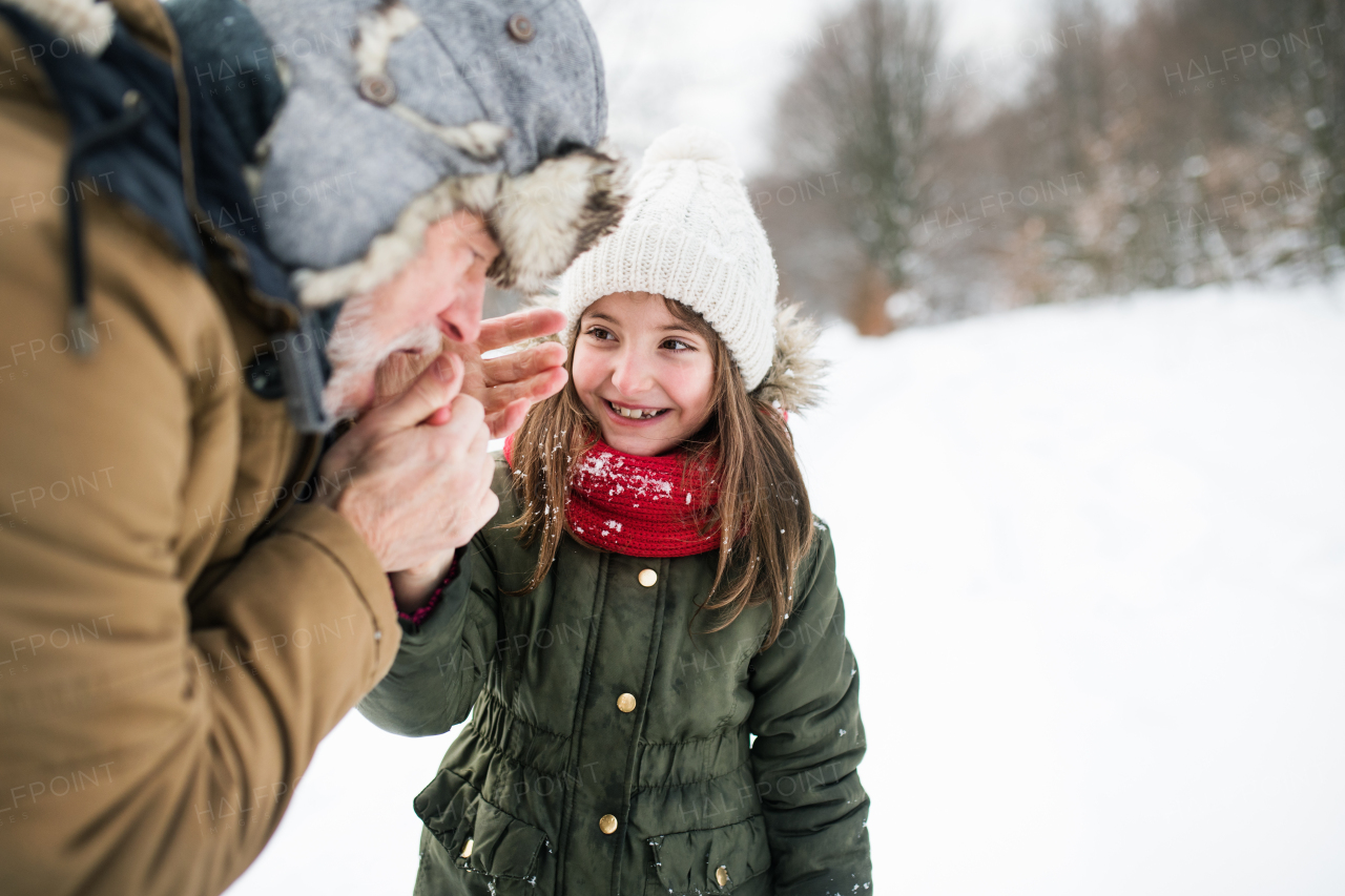 Senior grandfather and a small girl having fun in snow on a winter day.