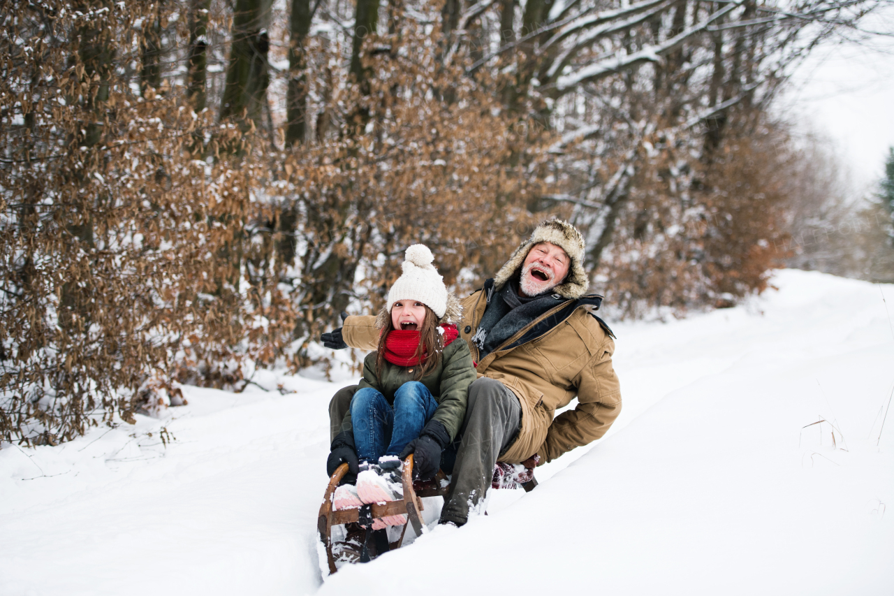 Senior grandfather and a small girl sledging on a winter day.