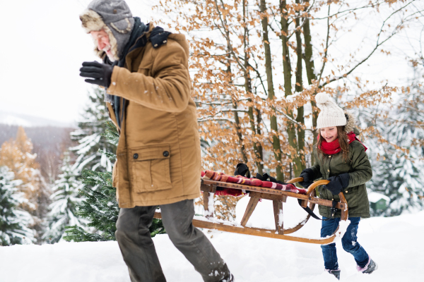 Senior grandfather and a small girl having fun in snow on a winter day.