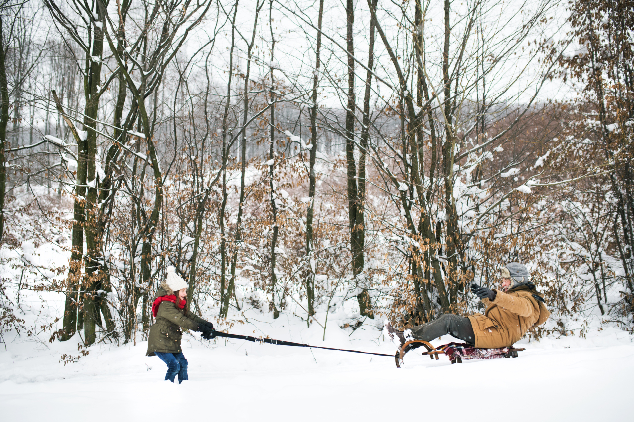 Senior grandfather and a small girl sledging, having fun. A girl pulling grandfather on a sleigh on a winter day.