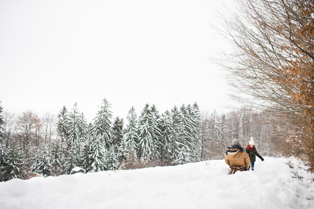 Senior grandfather and a small girl sledging, having fun. A girl pulling grandfather on a sleigh on a winter day. Rear view.