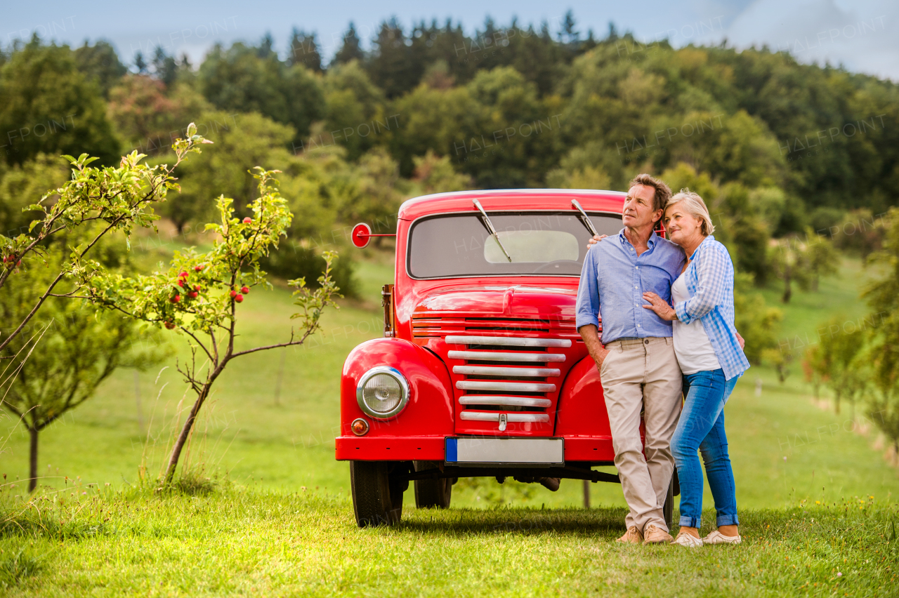 Senior couple hugging, vintage styled red car, green sunny nature